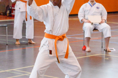 Shotokan_Cup_29052022_281
