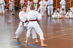 Shotokan_Cup_29052022_285