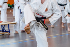 Shotokan_Cup_29052022_316