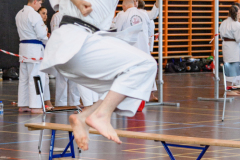 Shotokan_Cup_29052022_321