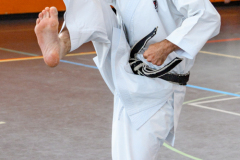 Shotokan_Cup_29052022_322