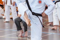 Shotokan_Cup_29052022_325