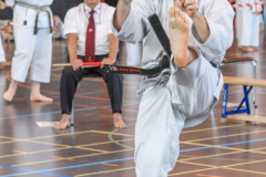 Shotokan_Cup_29052022_330