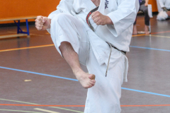 Shotokan_Cup_29052022_332
