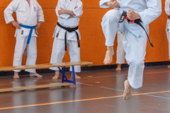Shotokan_Cup_29052022_340