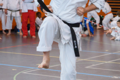 Shotokan_Cup_29052022_342