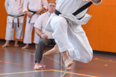 Shotokan_Cup_29052022_353